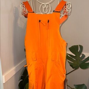 The North Face Freedom Ski Bib NWT!